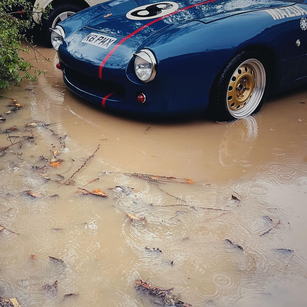 Yesterday was fun.