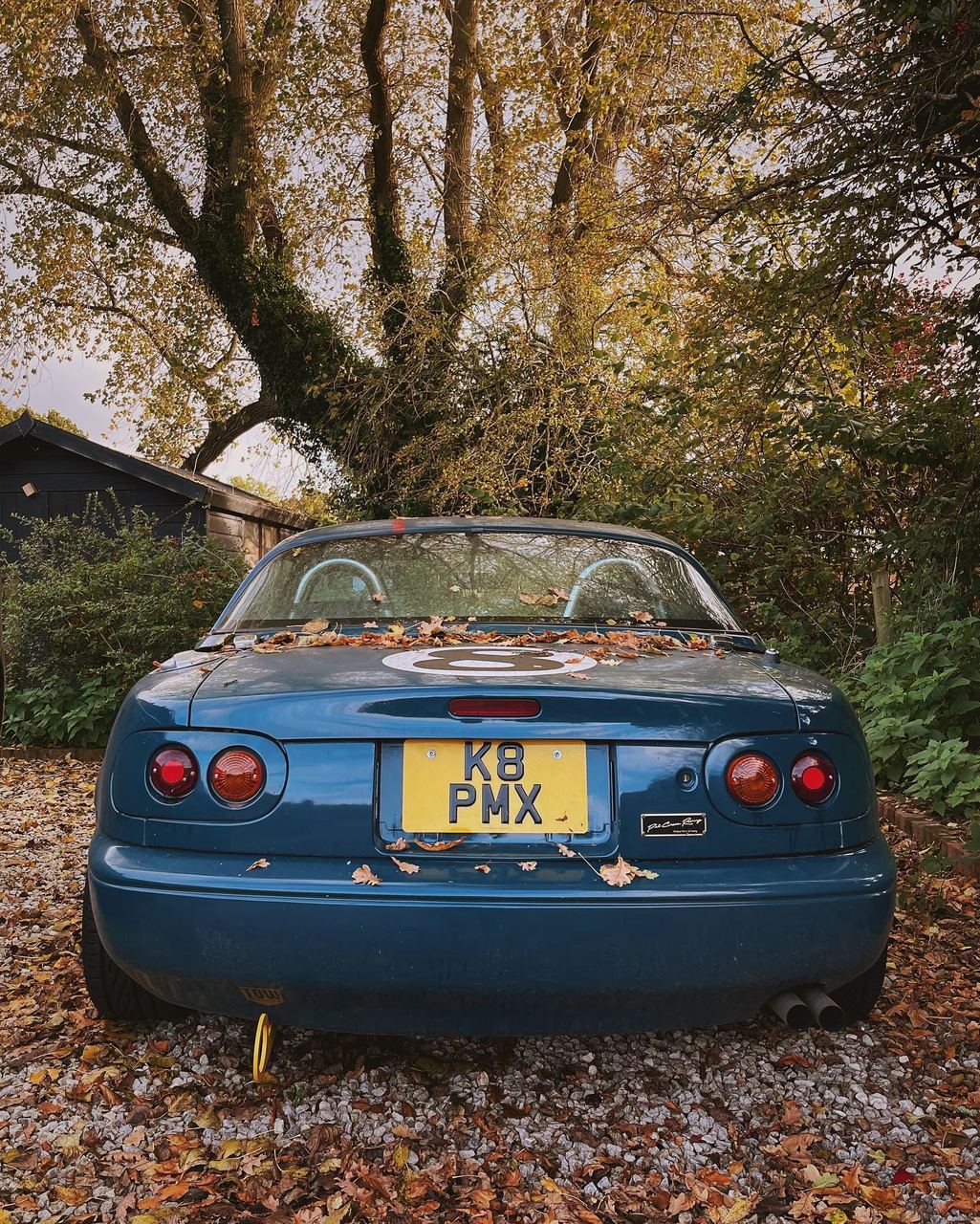 Autumn. Clearing leaves and twigs off the car every morning. Fun and games when it’s a daily driver and there’